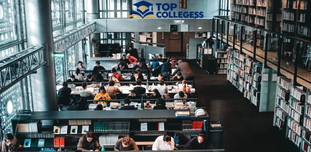 BCom Students Need Maths Background: Why Mathematics Is Becoming Important in Commerce Education